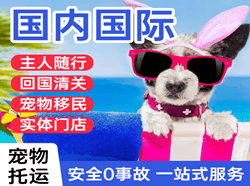 临汾尧都航空运输国际宠物托运 【国